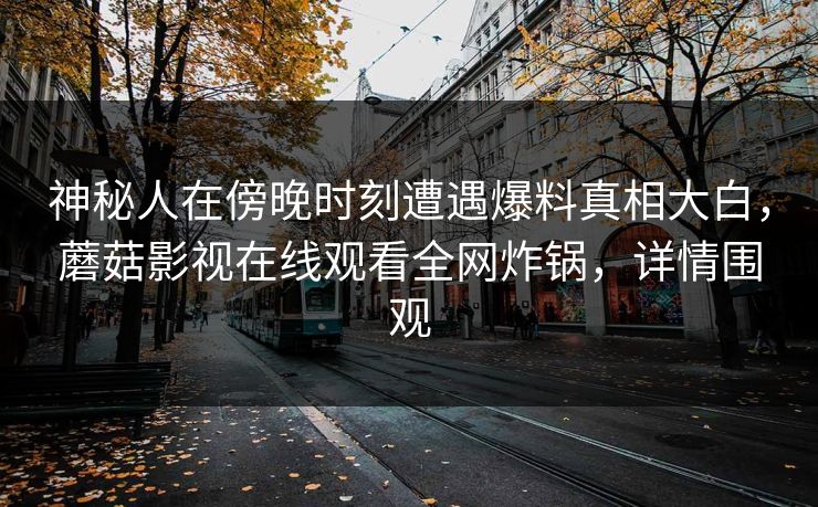 神秘人在傍晚时刻遭遇爆料真相大白，蘑菇影视在线观看全网炸锅，详情围观