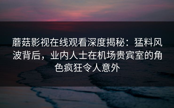 蘑菇影视在线观看深度揭秘：猛料风波背后，业内人士在机场贵宾室的角色疯狂令人意外