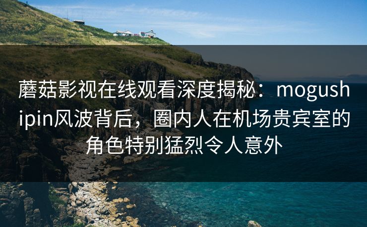 蘑菇影视在线观看深度揭秘：mogushipin风波背后，圈内人在机场贵宾室的角色特别猛烈令人意外