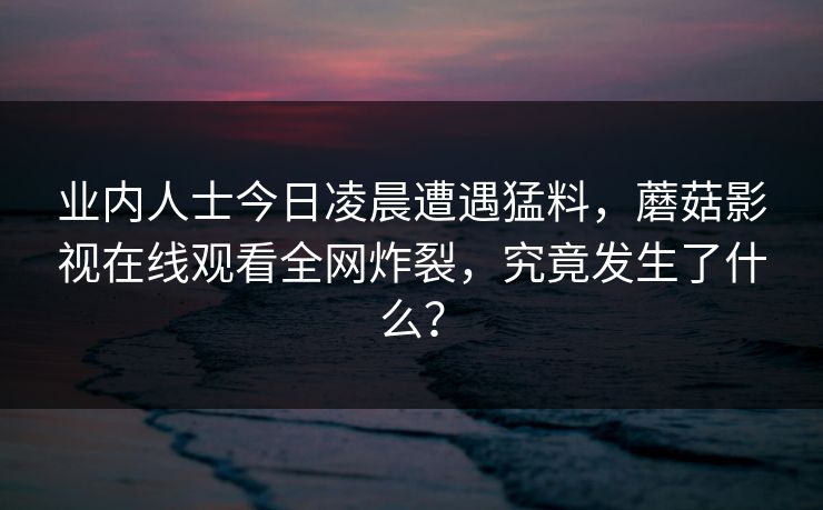 业内人士今日凌晨遭遇猛料，蘑菇影视在线观看全网炸裂，究竟发生了什么？