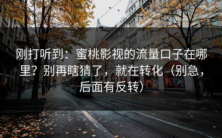 刚打听到：蜜桃影视的流量口子在哪里？别再瞎猜了，就在转化（别急，后面有反转）